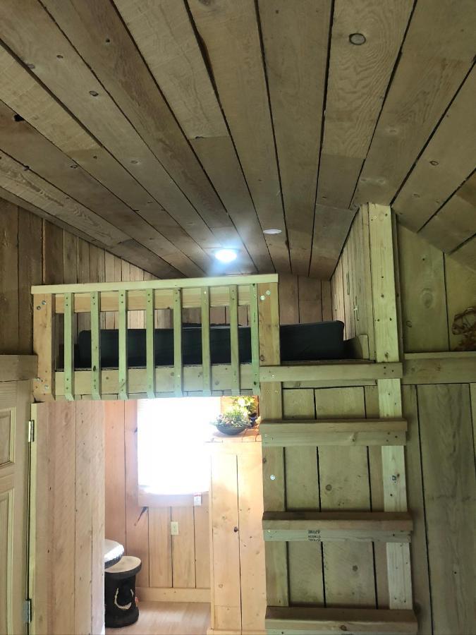 The Hideaway Tiny Cabin East Durham Bagian luar foto